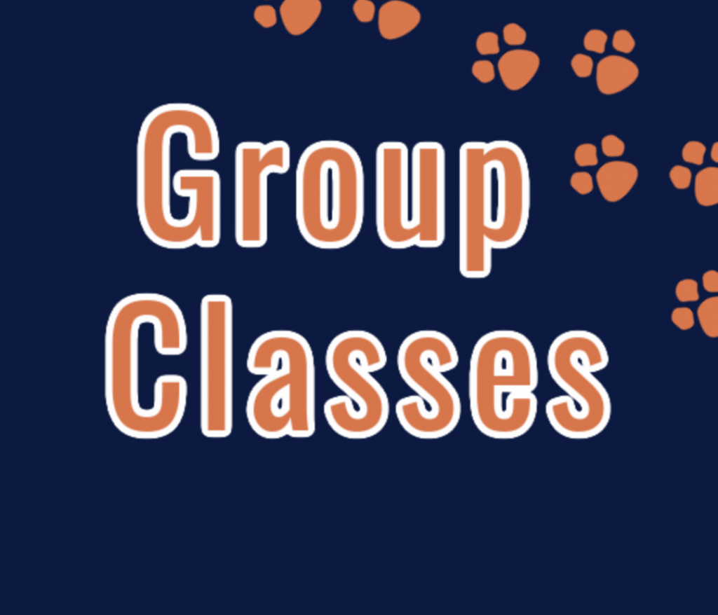 GROUP CLASSES