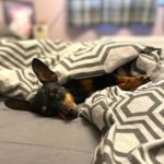 275226362_1114913285971375_4458275552363959789_n