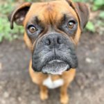 275685689_457560066122162_5487156694329155260_n