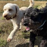 ab9b99c5-c9fc-4769-9dd3-5f52736e8b9f