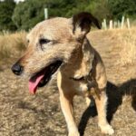 c7451714-1c6a-4010-b8c8-d760ae5cd3f0